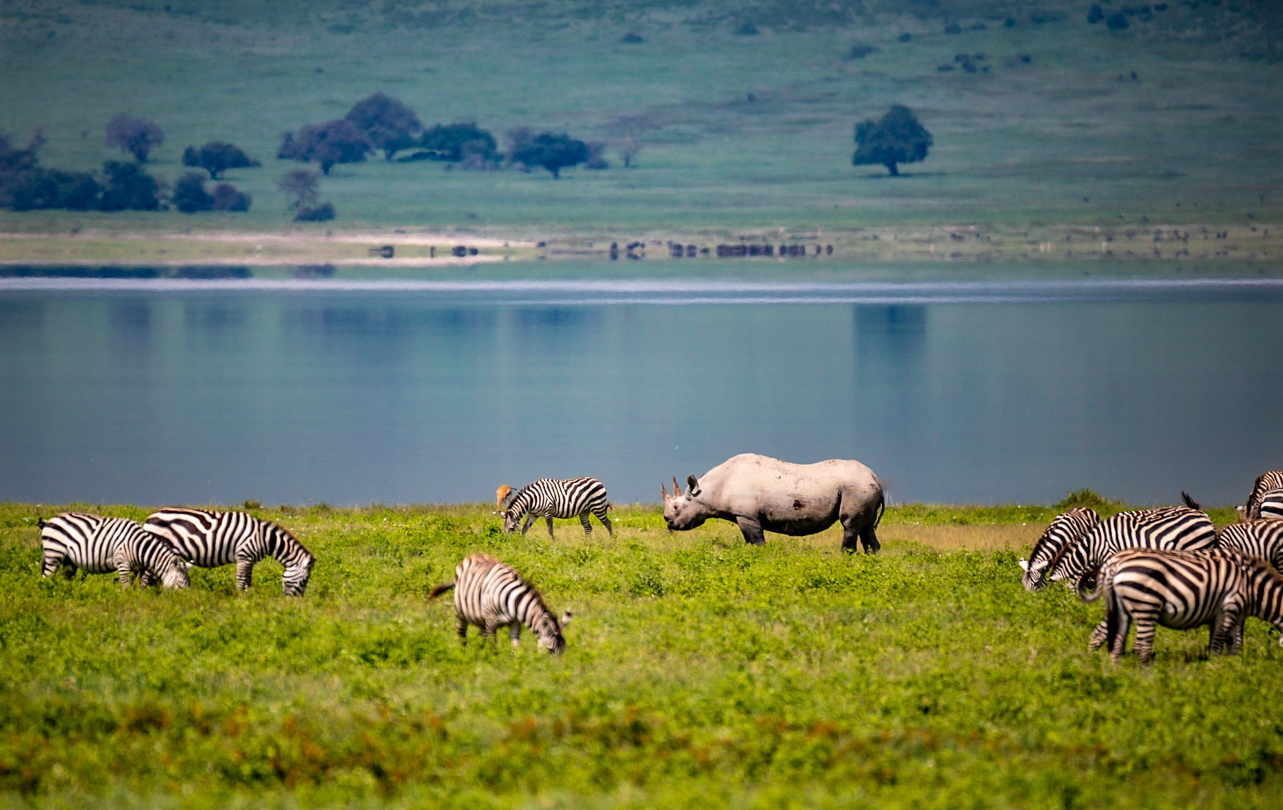 10 Reasons a Tanzania Safari is the Best Vacation Ever