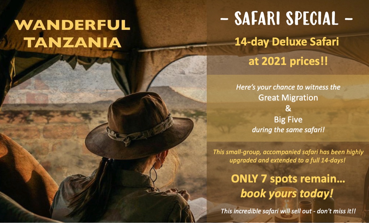 7 Reasons Not to Miss the Deluxe Great Migration & Crossing Safari