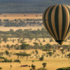 Love is in the Air Valentine's Day 2025 Safari - Image 2