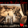 Love is in the Air Valentine's Day 2025 Safari
